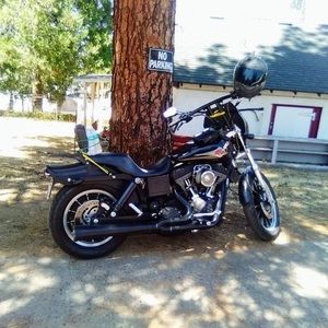 Meet your Posher, Ted